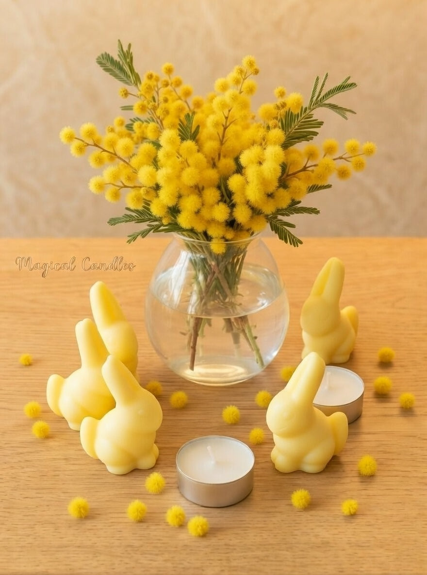 Fondant parfumé, La Ronde des Messagers – Ronde Unique Stubborn Mimosa (Escale de Printemps), (36g), cire végétale