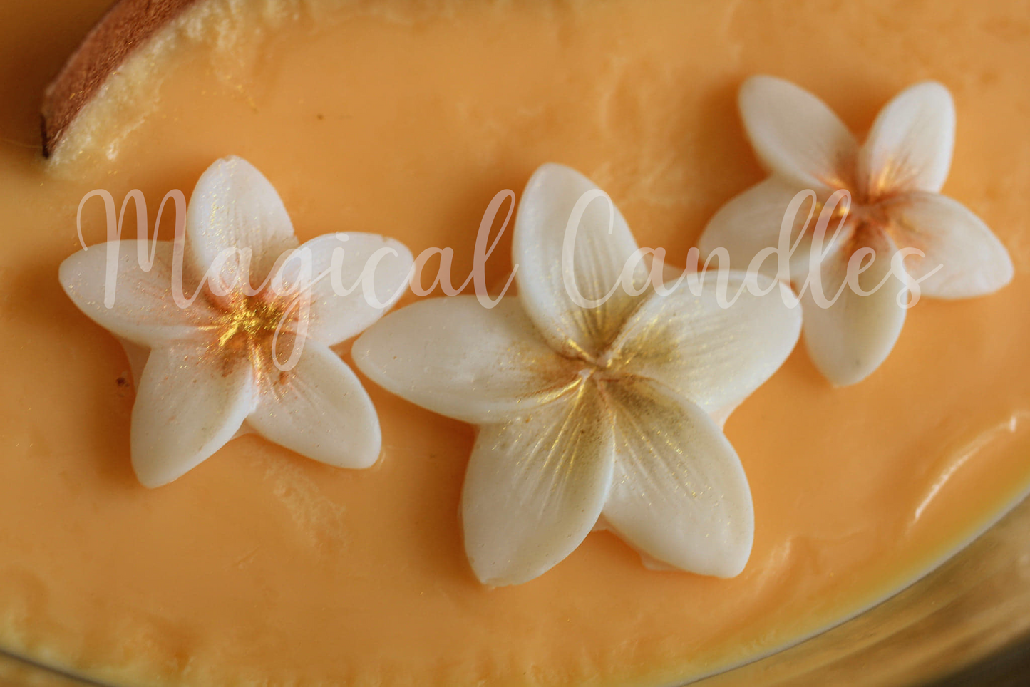 Bougie parfumée Enjoy the Sun (750g), cire végétale