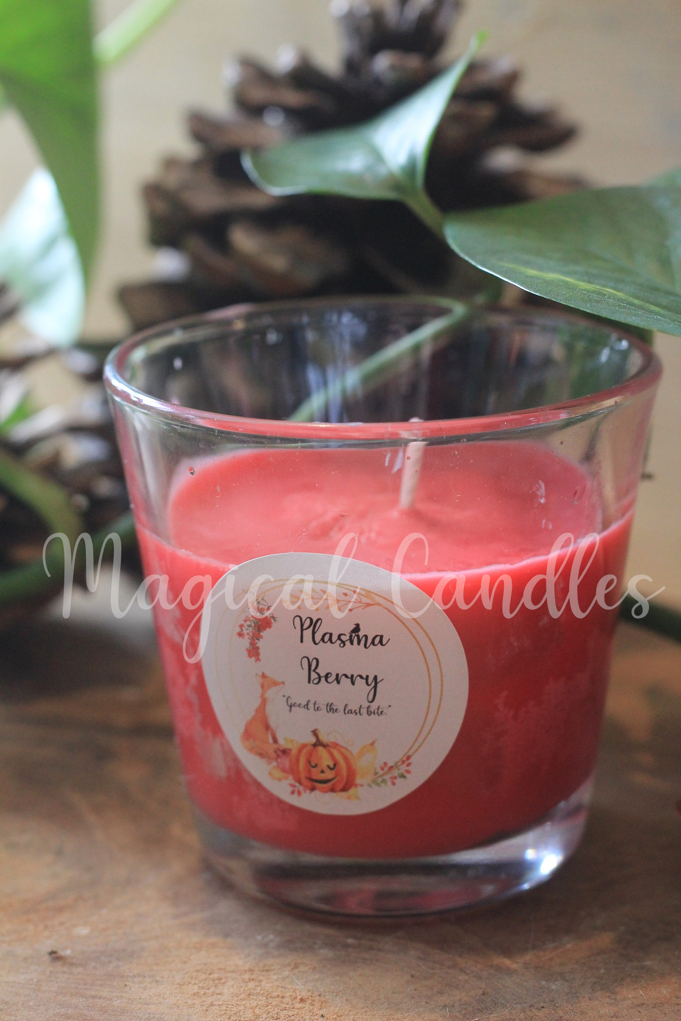 Bougie Plasma Berry (90g)