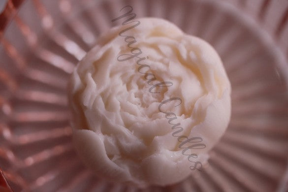 Fondant parfumé, La Pivoine Eternal Snow – La Pivoine d'Hiver, (20g), cire végétale