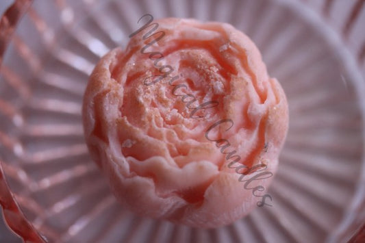 Fondant parfumé, La Pivoine Fall in Love – La Pivoine de Printemps, (20g), cire végétale