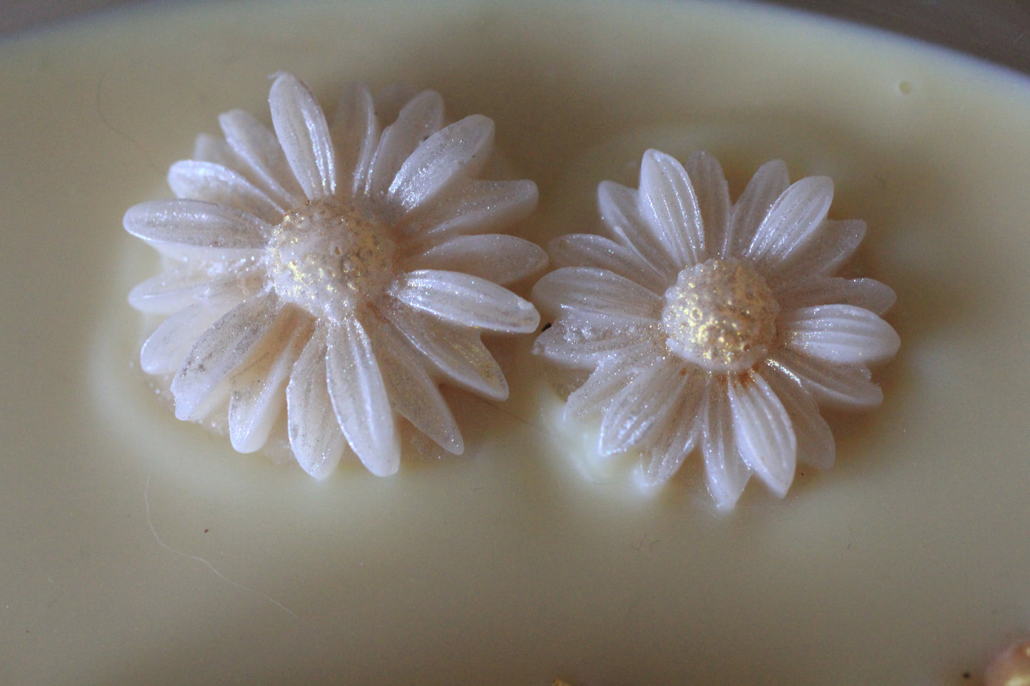 Bonjour parfumée, Golden Harvest (750g), cire végétale