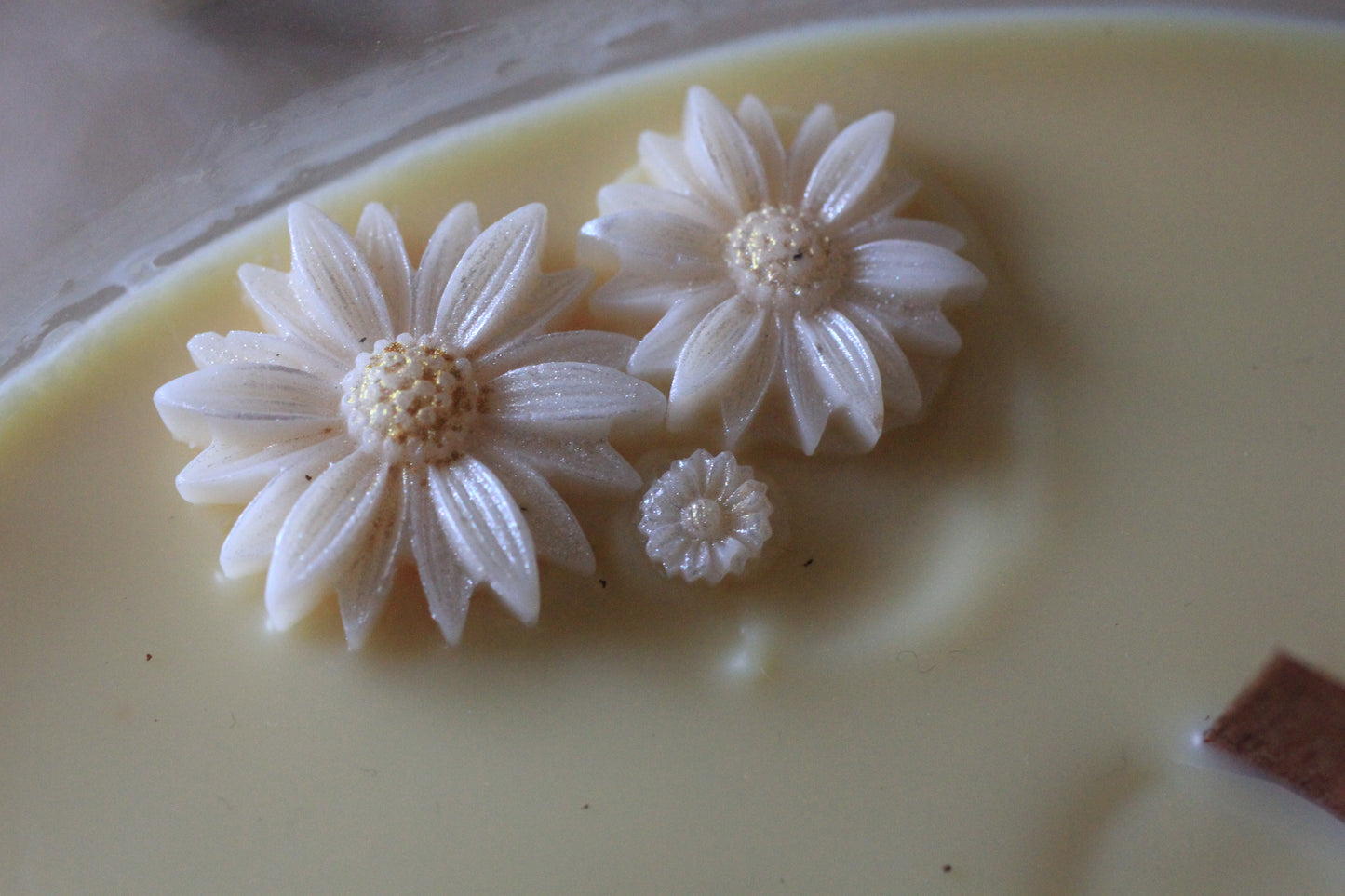 Bonjour parfumée, Golden Harvest (750g), cire végétale