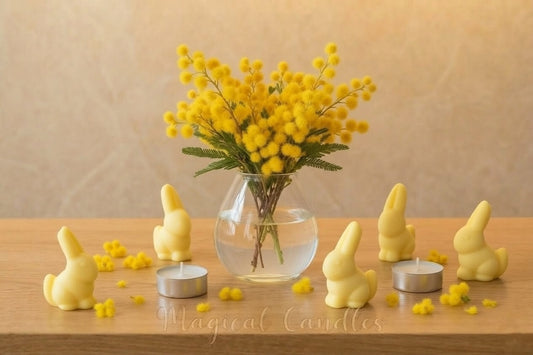 Fondant parfumé, La Ronde des Messagers – Ronde Unique Stubborn Mimosa (Escale de Printemps), (36g), cire végétale