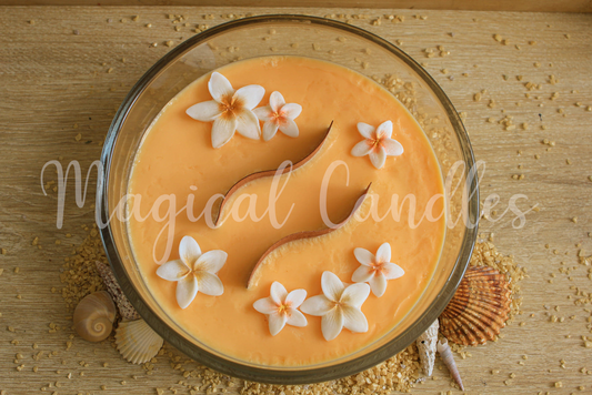 Bougie parfumée Enjoy the Sun (750g), cire végétale