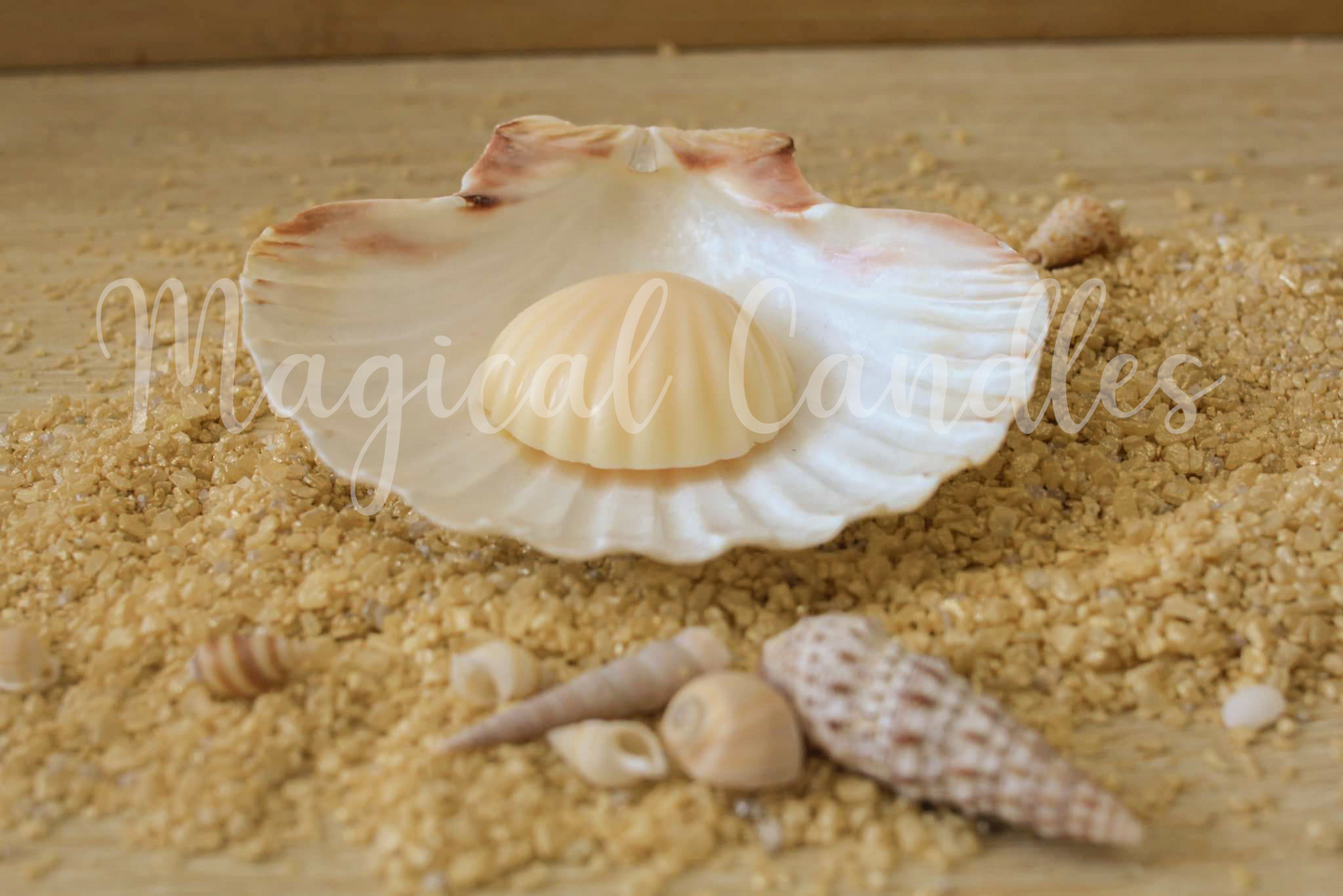 Fondant parfumé, Sun Nectar – Le Coquillage Solaire (Escale d'Été), (10g), cire végétale