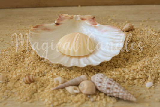 Fondant parfumé, First Sunny Days – Le Coquillage de Lumière (Escale d'Été), (10g), cire végétale