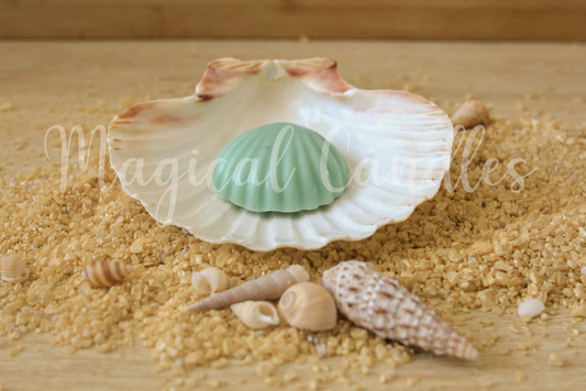 Fondant parfumé, Citronella Sanctuary – Le Coquillage Botanique (Escale d'Été), (10g), cire végétale