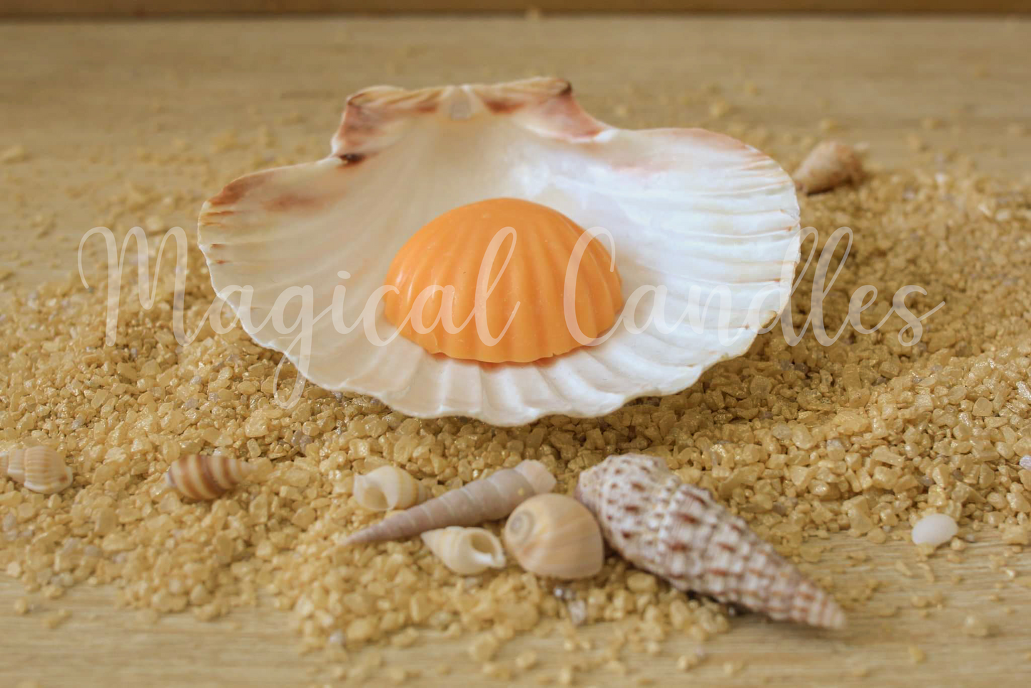 Fondant parfumé, Sun Nectar – Le Coquillage Solaire (Escale d'Été), (10g), cire végétale
