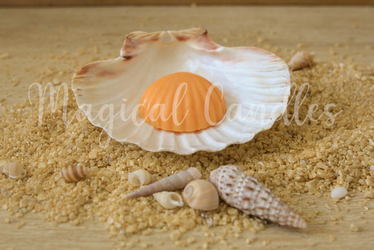 Fondant parfumé, Sun Nectar – Le Coquillage Solaire (Escale d'Été), (10g), cire végétale
