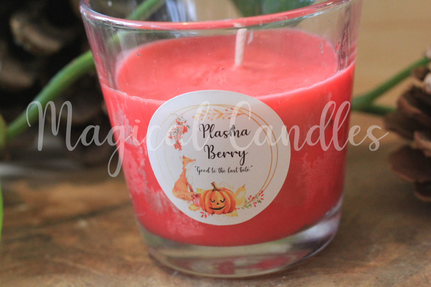 Bougie Plasma Berry (90g)