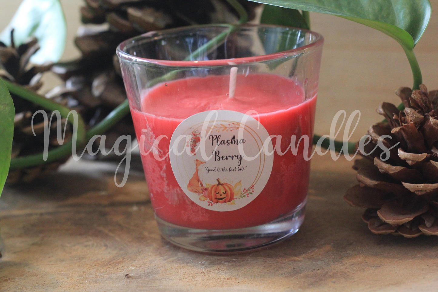 Bougie Plasma Berry (90g)