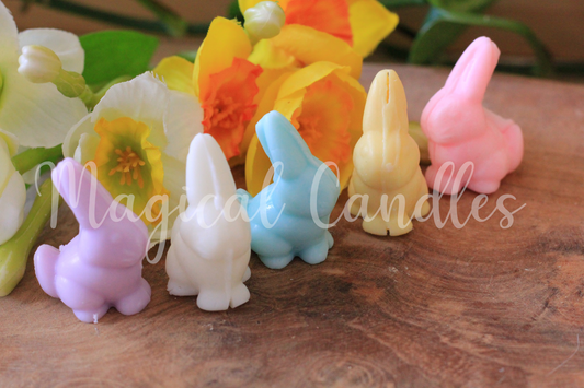 Fondant printanier Lapin (6g)