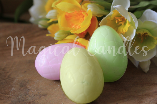 Fondant printanier Oeuf (20g)